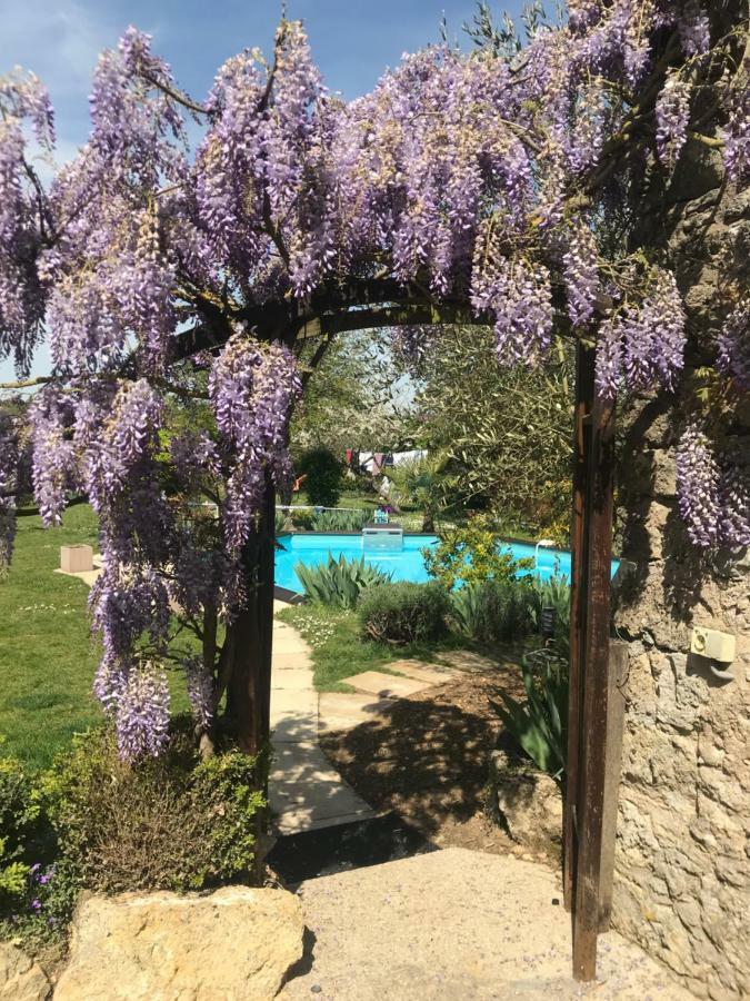 Chambres D'Hotes La Vallee Des Vignes Monthou-sur-Cher Exterior foto